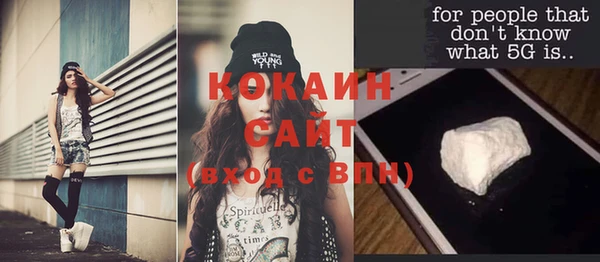 прущие грибы Надым
