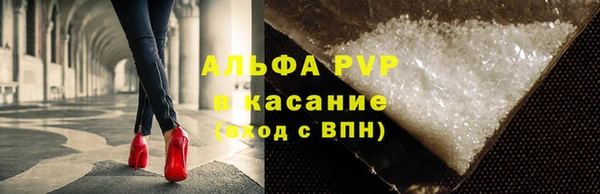 прущие грибы Надым