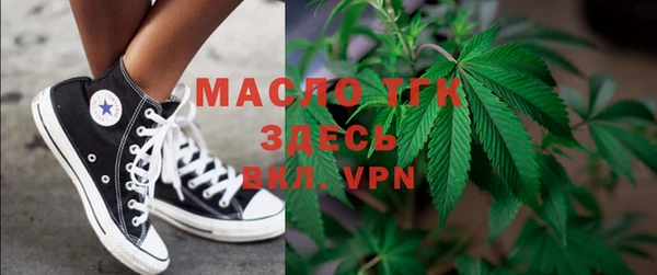 индика Михайлов