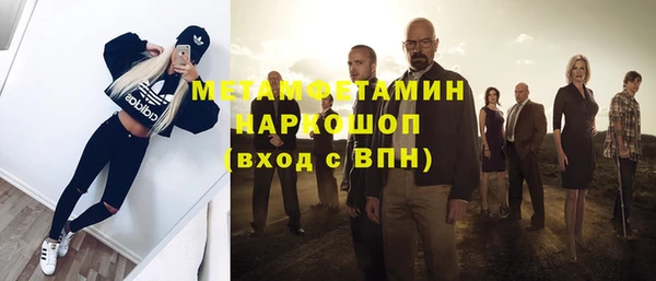 прущие грибы Надым