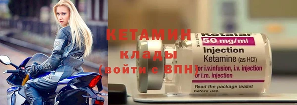 прущие грибы Надым