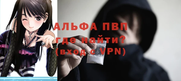 прущие грибы Надым