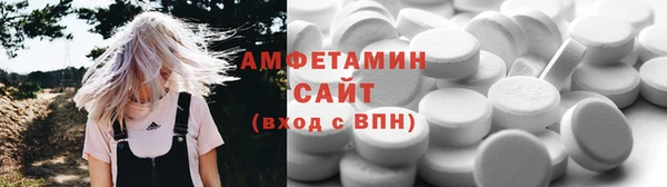 прущие грибы Надым