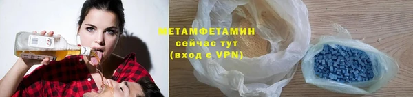 прущие грибы Надым