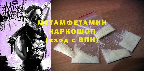 прущие грибы Надым