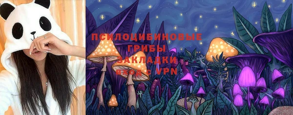 прущие грибы Надым