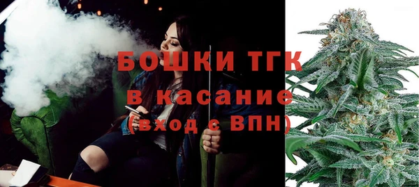 прущие грибы Надым