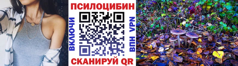 Галлюциногенные грибы прущие грибы  Родники 