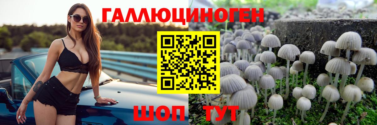 Галлюциногенные грибы прущие грибы  Вход с VPN  Родники  Псилоцибиновые грибы мухоморы 